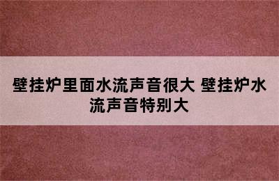 壁挂炉里面水流声音很大 壁挂炉水流声音特别大